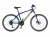 Author Outset Disc 26" (2021 - 2022)