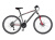 Author Outset Disc 26" (2021 - 2022)