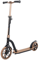 Складной самокат TechTeam Tracker 250 (2021)